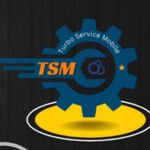 tsm tool