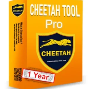 cheetah 1
